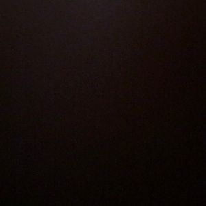 Meet your Posher, Sarina